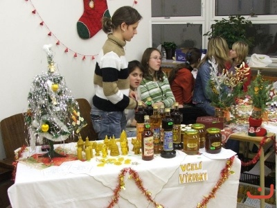 Vánoční strom 2006