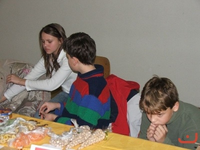 Vánoční strom 2006