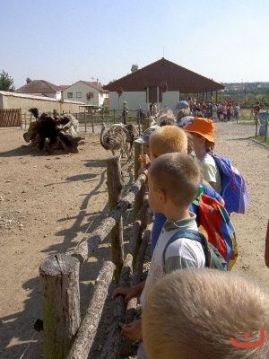 Výlet 1. tříd do Vyškova