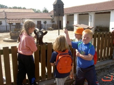 Výlet 1. tříd do Vyškova