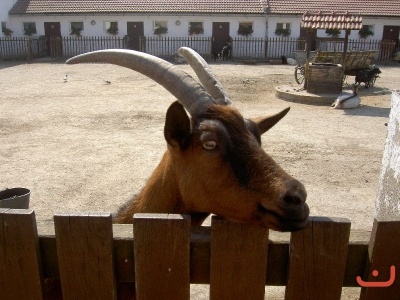 Výlet 1. tříd do Vyškova