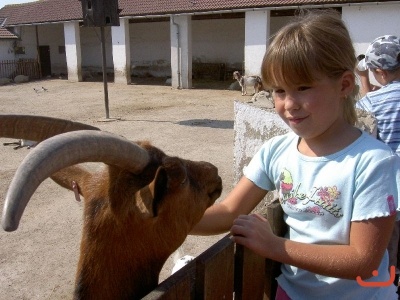 Výlet 1. tříd do Vyškova