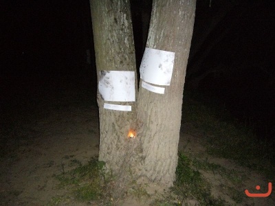 Škola v přírodě 2. stupně