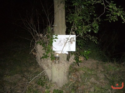 Škola v přírodě 2. stupně