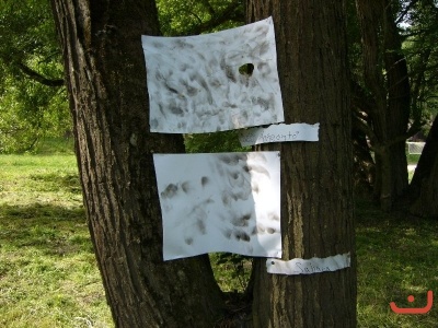Škola v přírodě 2. stupně