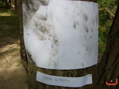 Škola v přírodě 2. stupně