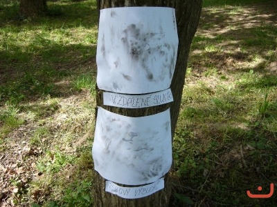 Škola v přírodě 2. stupně