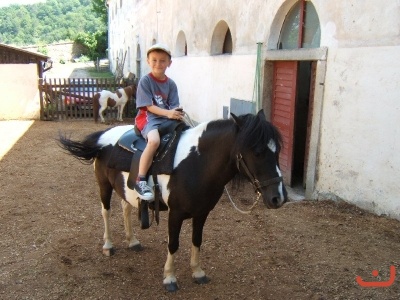 Školní výlet 1.B