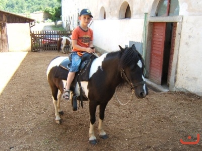 Školní výlet 1.B