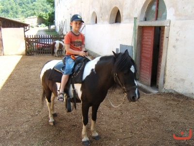 Školní výlet 1.B