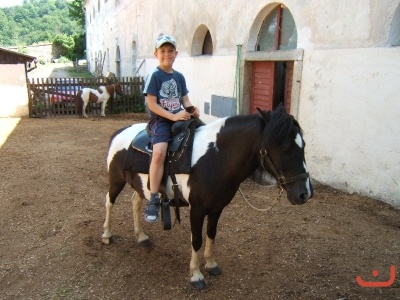 Školní výlet 1.B