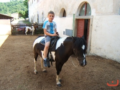 Školní výlet 1.B