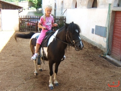 Školní výlet 1.B