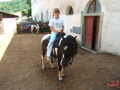 Školní výlet 1.B