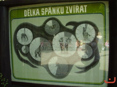1. třídy v jihlavské ZOO