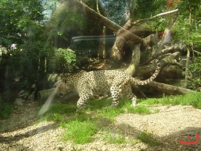 1. třídy v jihlavské ZOO