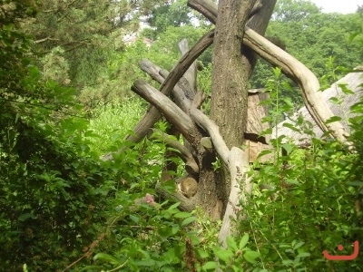1. třídy v jihlavské ZOO
