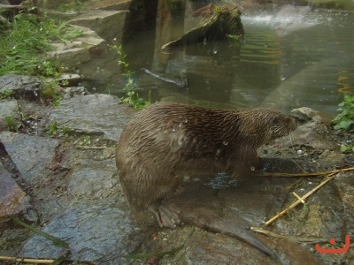 1. třídy v jihlavské ZOO