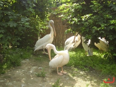 1. třídy v jihlavské ZOO