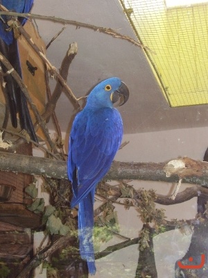 1. třídy v jihlavské ZOO