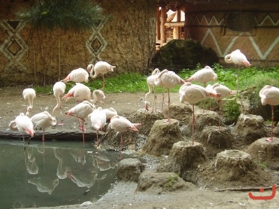 1. třídy v jihlavské ZOO