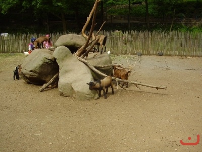 1. třídy v jihlavské ZOO