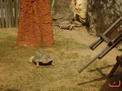 1. třídy v jihlavské ZOO