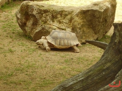 1. třídy v jihlavské ZOO