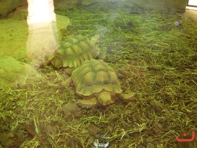1. třídy v jihlavské ZOO