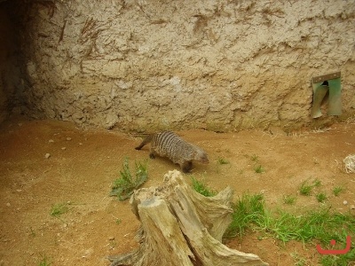 1. třídy v jihlavské ZOO
