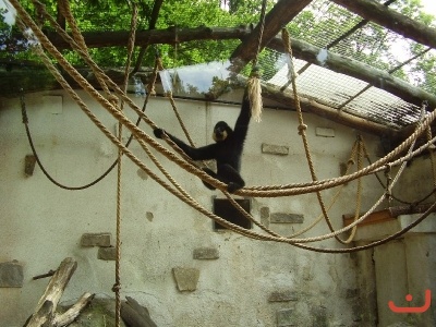 1. třídy v jihlavské ZOO
