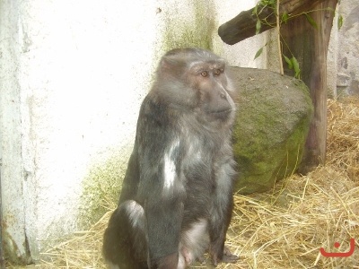 1. třídy v jihlavské ZOO