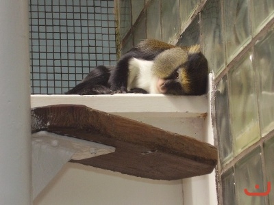 1. třídy v jihlavské ZOO