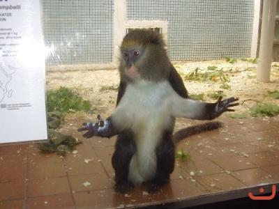 1. třídy v jihlavské ZOO