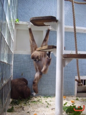1. třídy v jihlavské ZOO