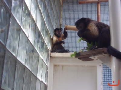 1. třídy v jihlavské ZOO