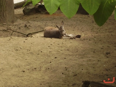 1. třídy v jihlavské ZOO
