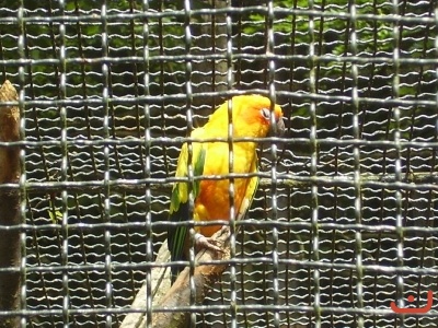 1. třídy v jihlavské ZOO