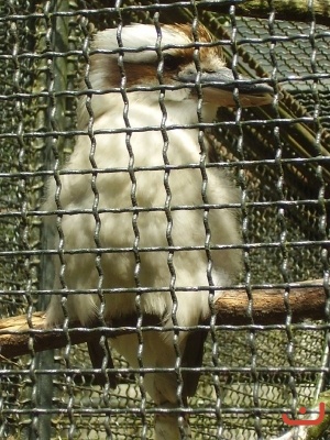 1. třídy v jihlavské ZOO