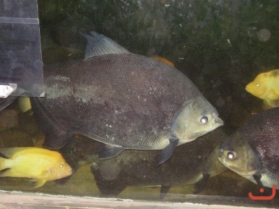 1. třídy v jihlavské ZOO