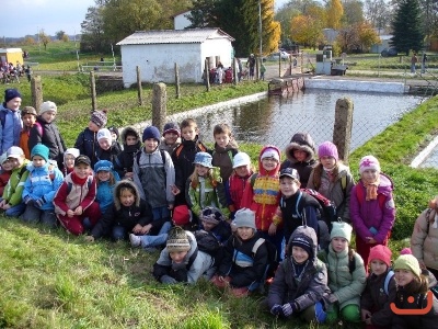 Exkurze - výlov, vodní mlýn, krokodýlí farma