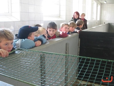 Exkurze - výlov, vodní mlýn, krokodýlí farma