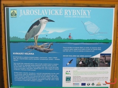 Exkurze - výlov, vodní mlýn, krokodýlí farma