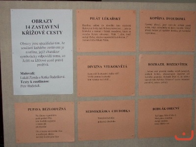 Exkurze 7.B do Znojma