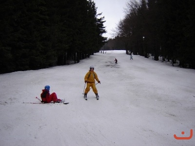 LVK 2008