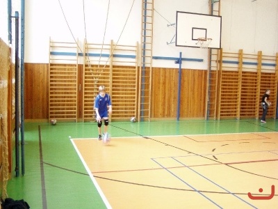 Miinivolejbal