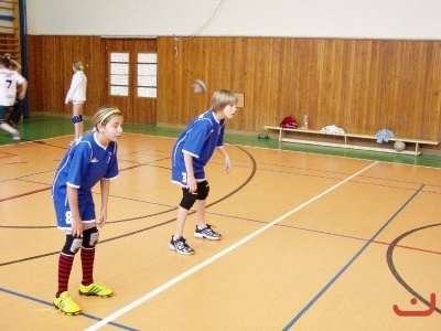 Miinivolejbal