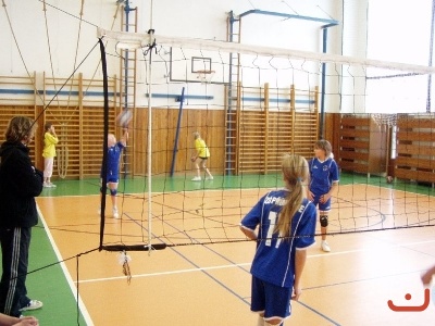 Miinivolejbal