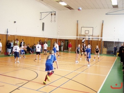 Miinivolejbal
