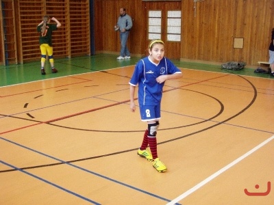 Miinivolejbal